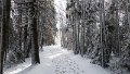 20141127_101443
