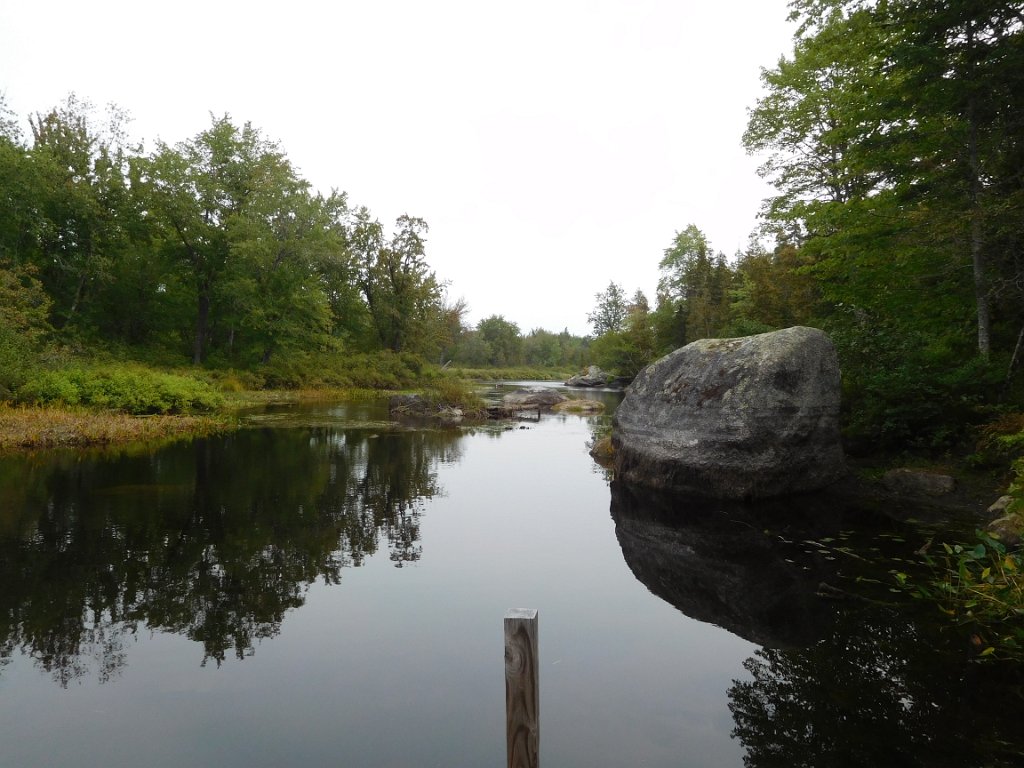 010(1).jpg - Low water at the dock