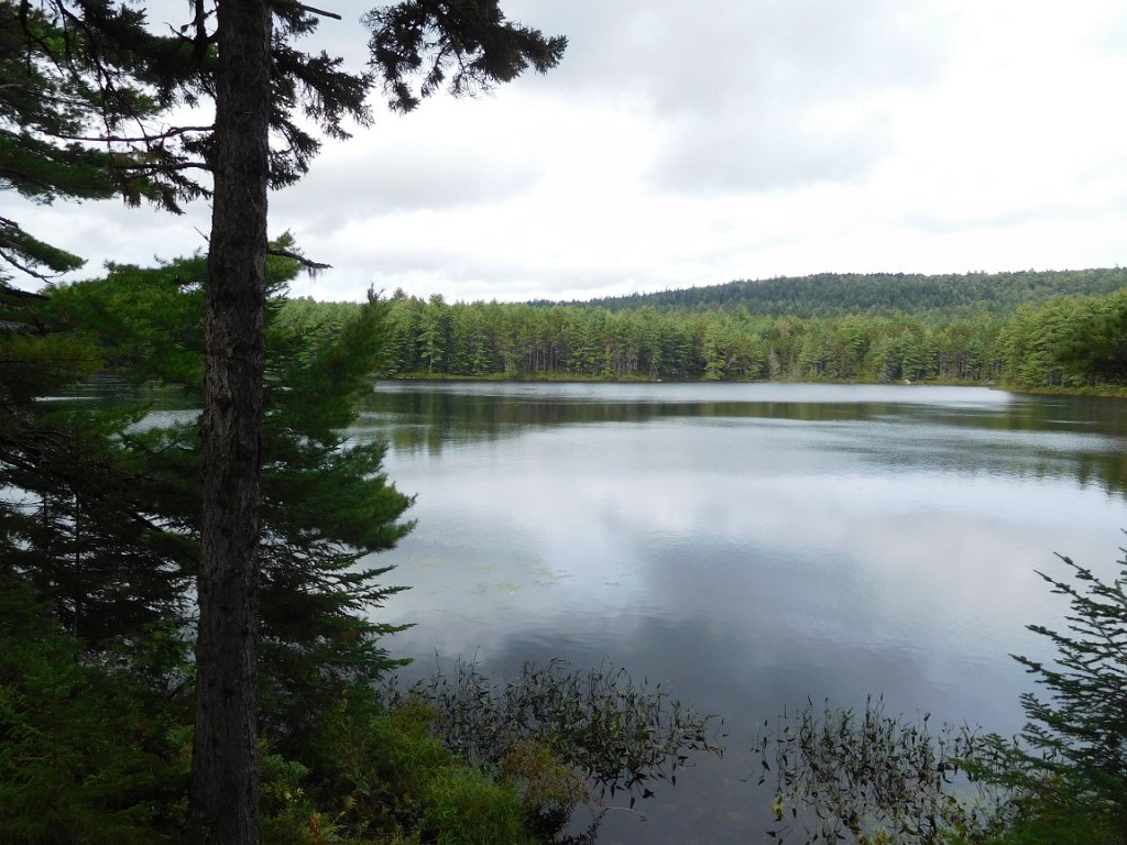011.jpg - Trip to Oxhead pond