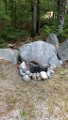 IMG_20170910_083550217