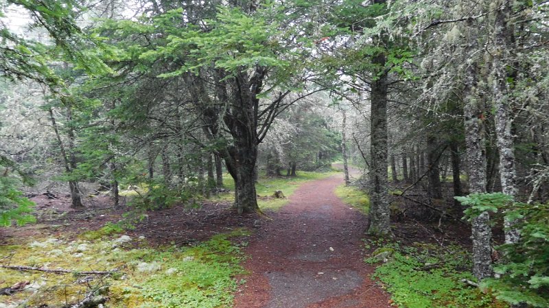 061.JPG - Damp trail
